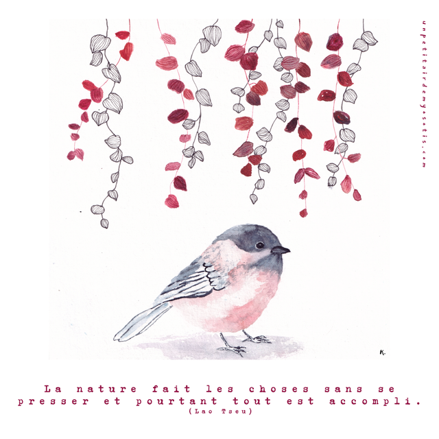 Carte postale mésange nonnette &quot;La nature fait les choses sans se presser et pourtant tout est accompli&quot;