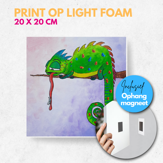 Kameleon en vlieg | Light foam met magneet