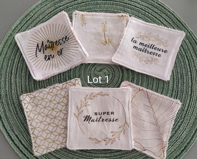 Lot 6 lingettes maîtresse 