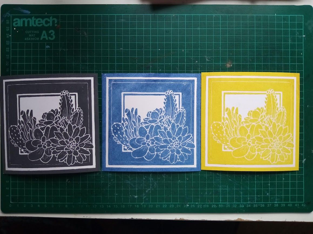 Cacti and Succulents 