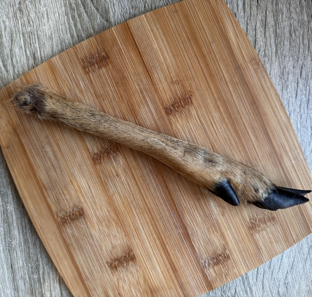 Furry Venison Leg