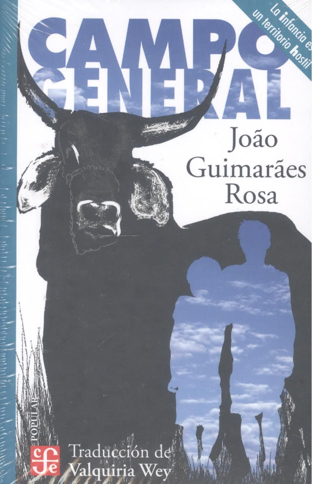 Campo general - João Guimarães Rosa