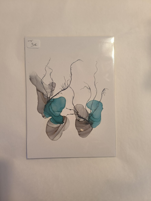 Carte N5