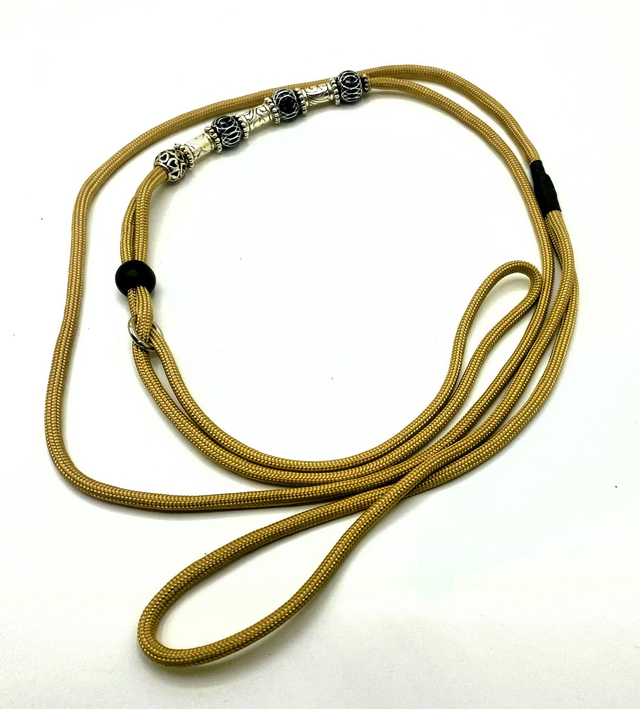 Laisse de présentation 