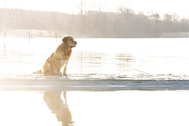 Portretshoot op locatie TOP