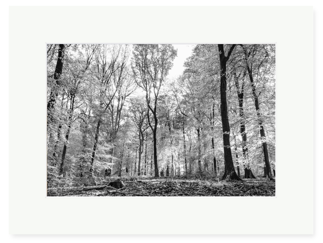 A4 FRAMED PRINT 43X32cm