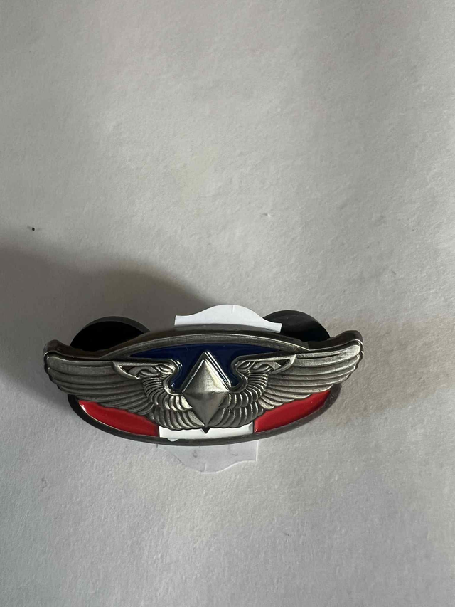 Brevet de pilote WAPS