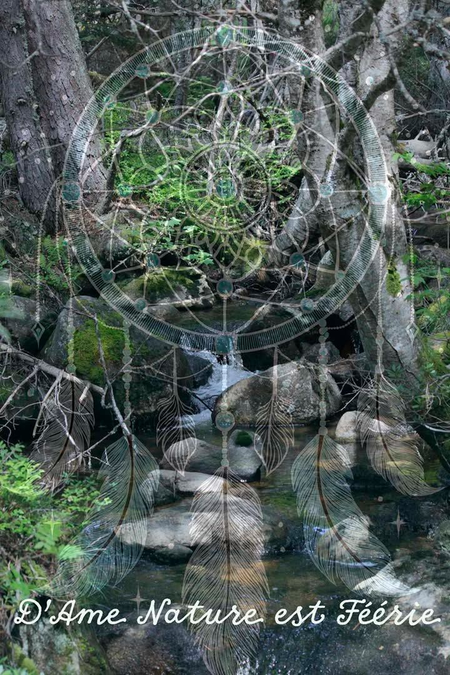 Cadre photo Nature féérique A4