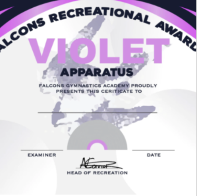 APPARATUS  - Falcons Proficiency - PLEASE USE THE CHILD'S NAME WHEN ORDERING IN MESSAGE BOX ON NEXT PAGE