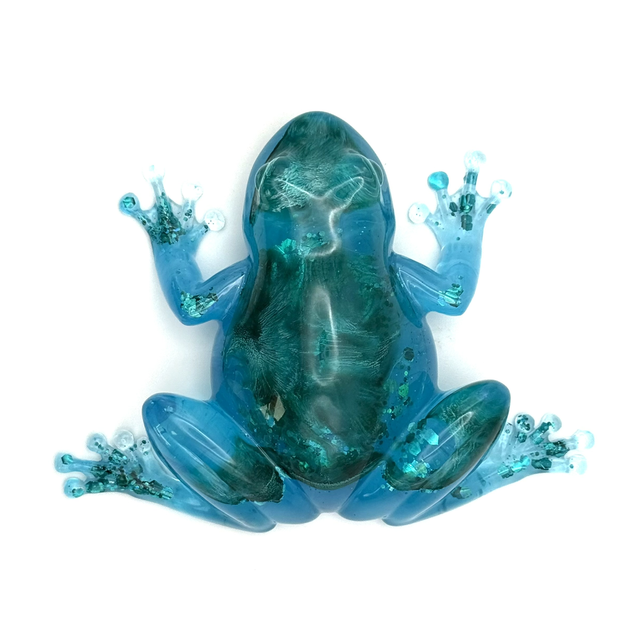 Grenouille Océan Indien