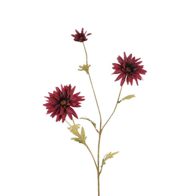 Daisy spray burgundy