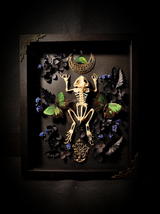 Cadre Grenouille &amp; Papillons 
