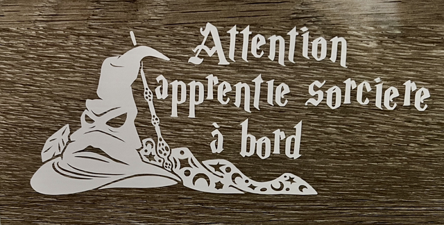 Attention apprenti sorcier à bord
