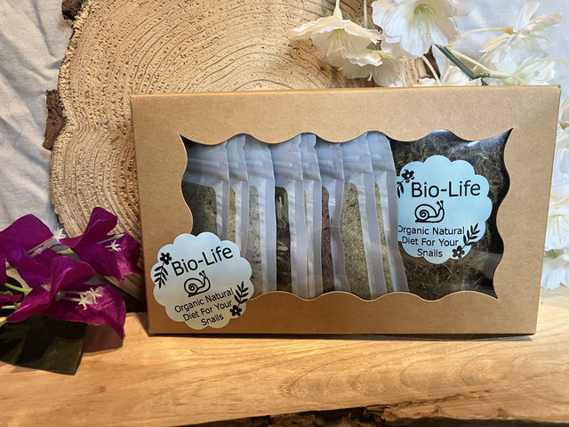 8 Favourite Flavours Protein Food Hamper with 2 Calcium Cakes