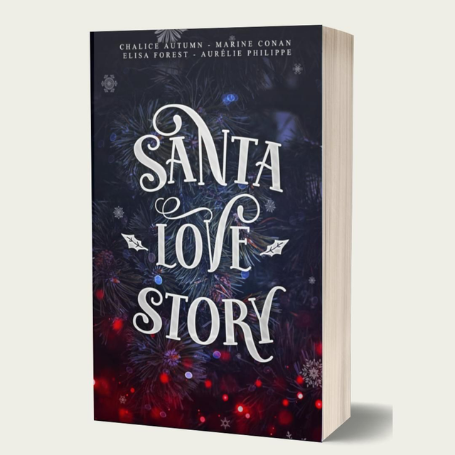 Santa Love Story 