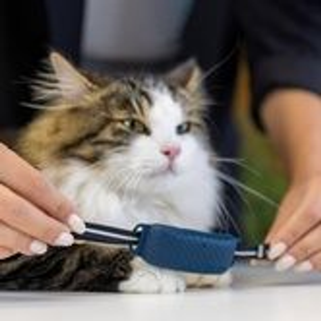 Tractive GPS CAT 4 - Collar Attachment (3 pièces)