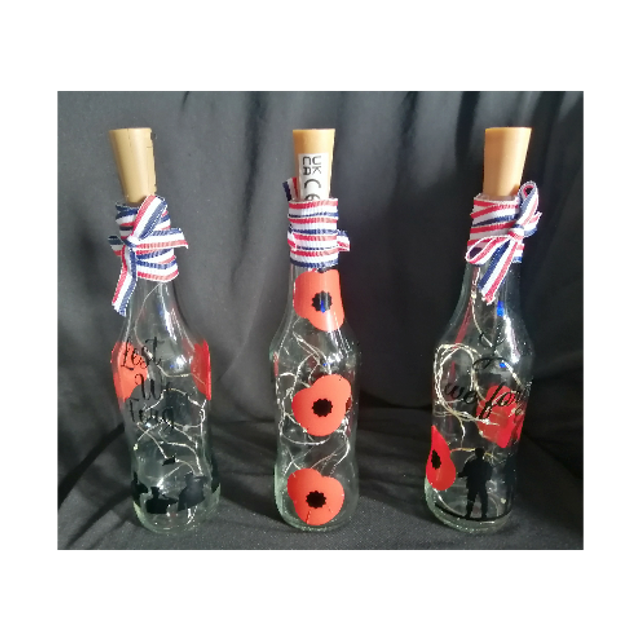 VE Bottle Lights (1)