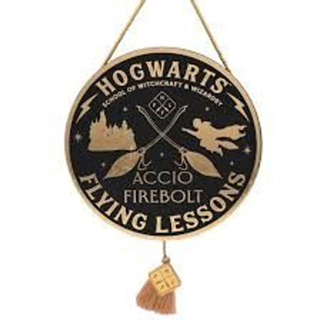 PLAQUE PILOTAGE DE WARNER BROS HARRY POTTER