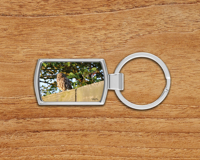 "Little Owl" Keyring  