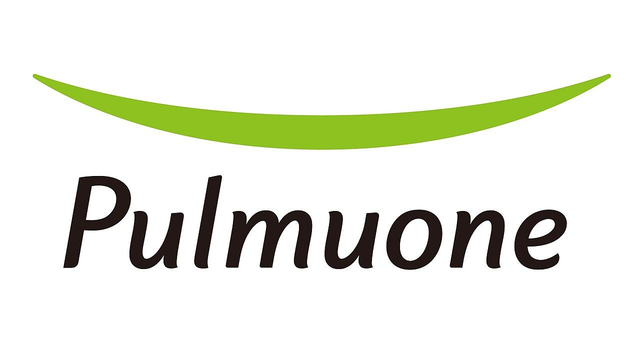 Pulmuone Noodles