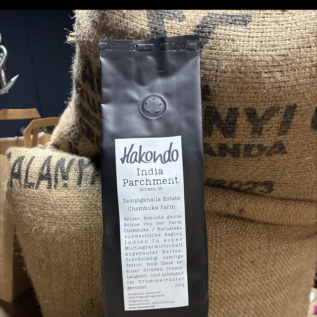 India Parchment Screen 18