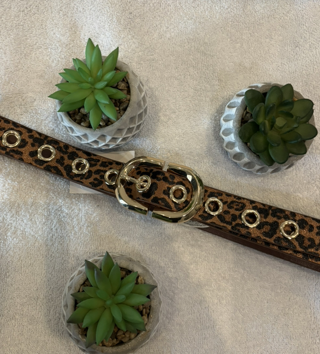 Ceinture léopard marron