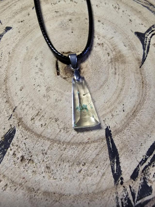 Fragments de carotte sauvage bleue