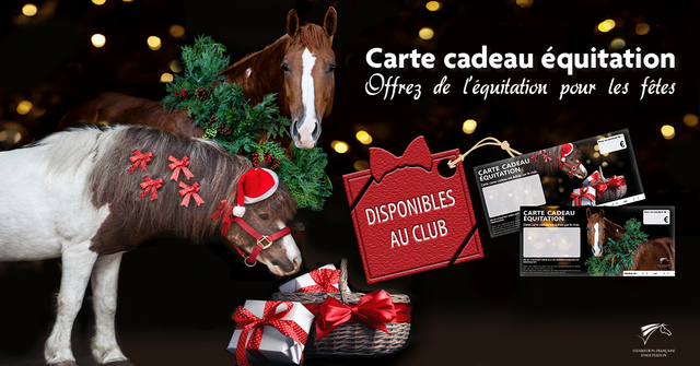 Carte cadeau Noël 