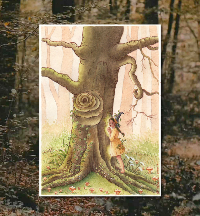 Illustration Originale - La Mémoire de la forêt 🍃