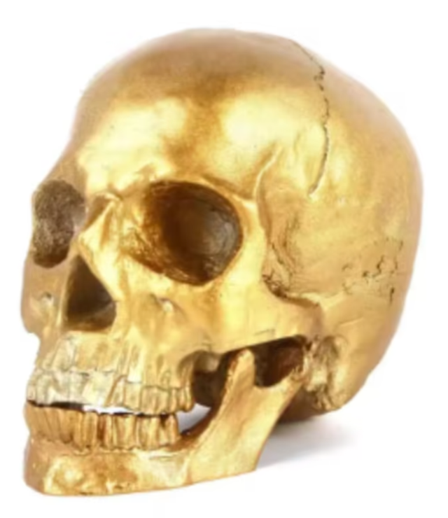 Prachtig schedel beeld 1:1 realistisch goudkleurig (18cm)