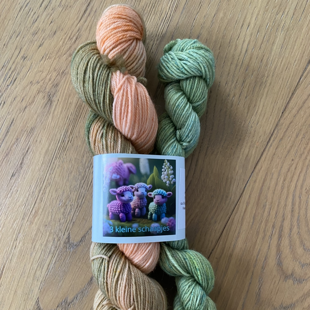 Pompoen sock set