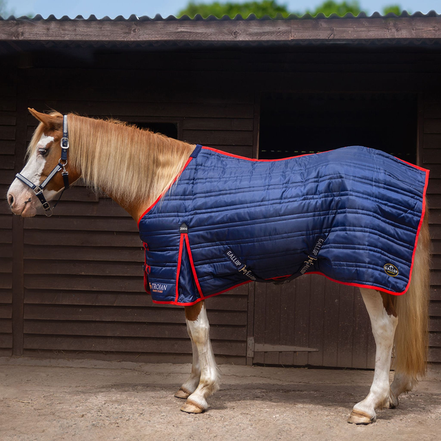 Gallop Trojan 200g Stable Rug