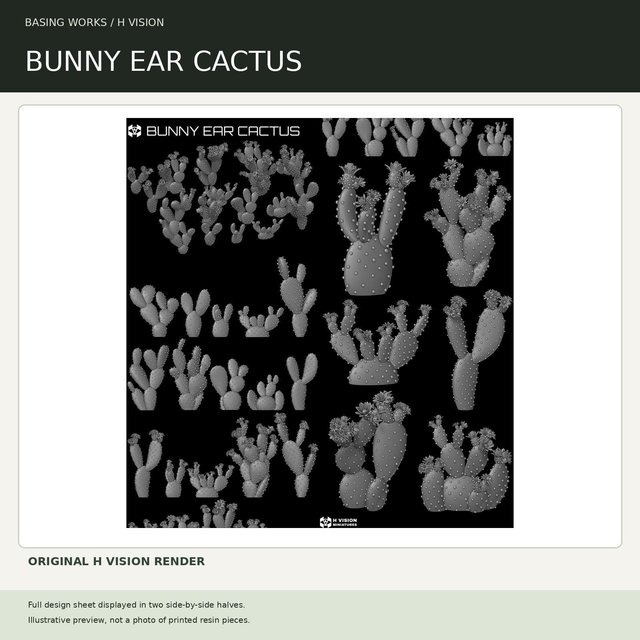 H Vision - Bunny Ear Cactus