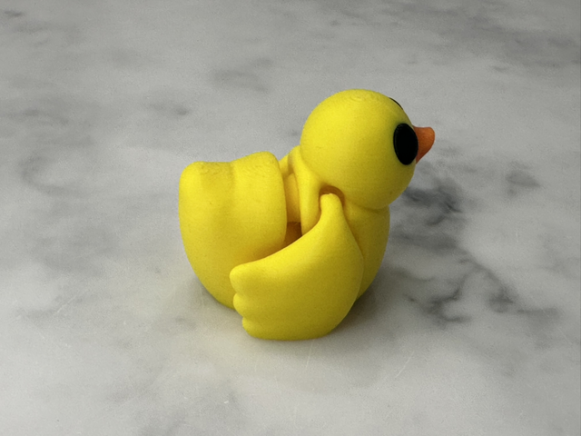 Duck