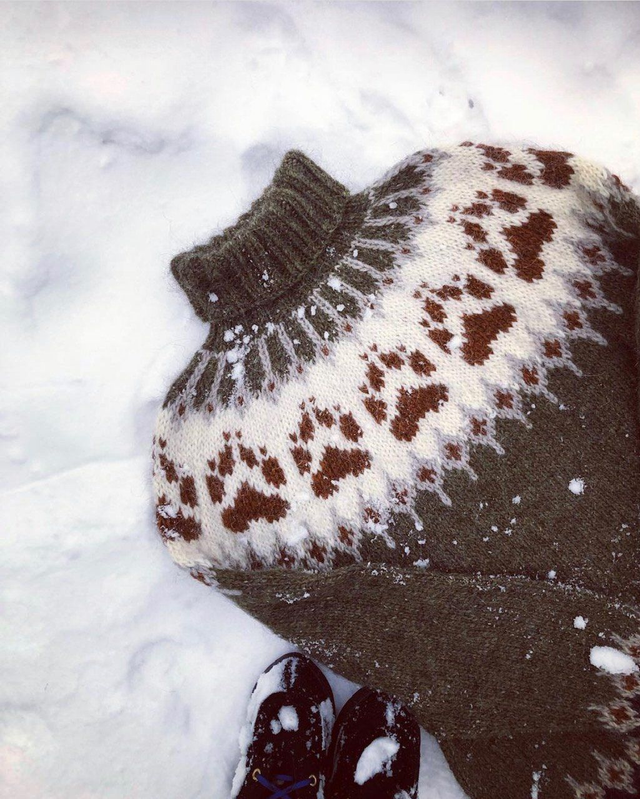 Wilderness Sweater Kit - Col 26 (Highland Green Lopi Mix) - Wool &amp; Pattern - Linka Neumann