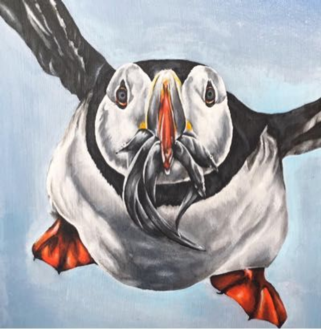 Puffin Limited Edition Print