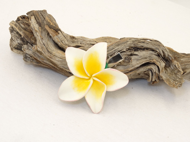 Horquilla de Plumeria