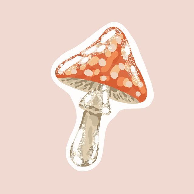 Le champignon 🍄 