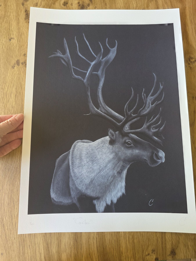 Caribou - Edition Fine Art