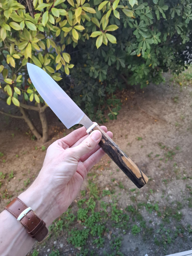 Multi 15cm - Ébène royal et Mammouth 