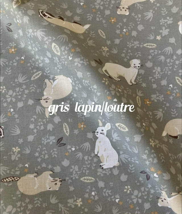 GRIS LAPIN/LOUTRE