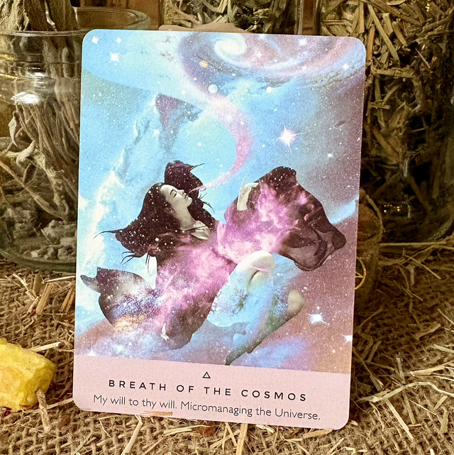 Magpie Oracle – Empowerment | 40 Curated Oracle Cards | Unique Intuitive Deck with Digital Guidebook