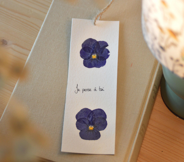 Marque-page de plantes séchées