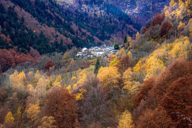 Piana di Forno autunnale