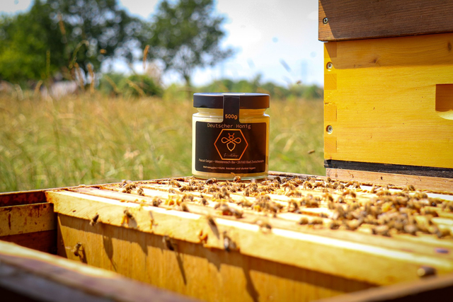 Frühtrachthonig 250gr feinsteif Cremig gerührt. 