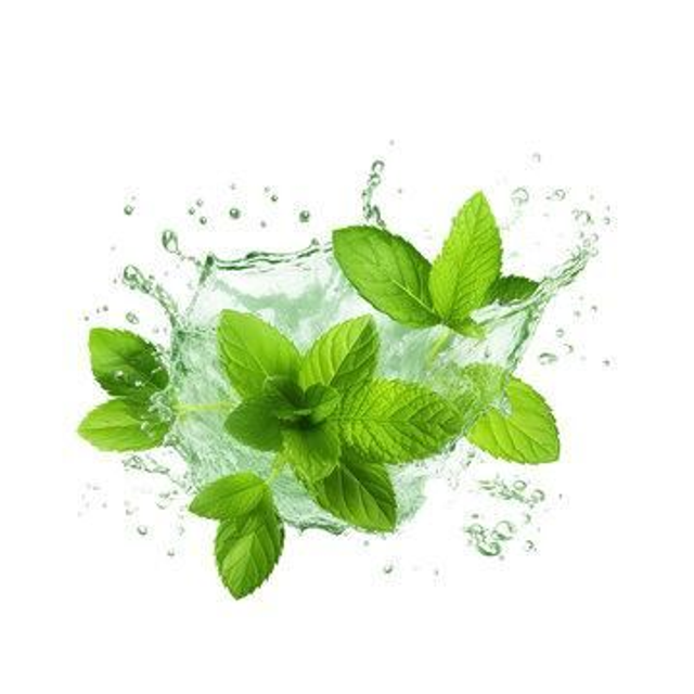 Mint & Tea Tree 