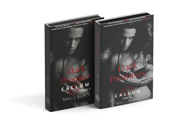 Dark Promises tome 1 (broché) 