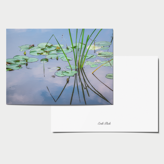 A6 kaart - Waterlelie bladeren