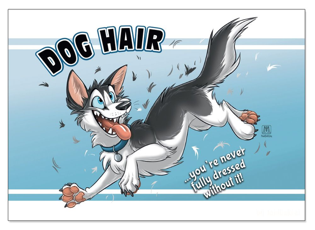 Dog Hair (A4)