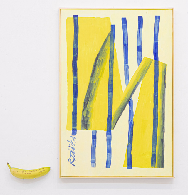 MTF clownfish in reef